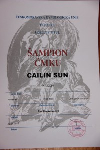 cailin-sampion-cmku-----maly.jpg