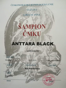 anttara-sampion-cmku.png